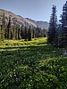 photo thumbnail #15