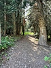 photo thumbnail #5
