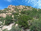 photo thumbnail #11