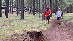 photo thumbnail #9