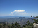 photo thumbnail #9