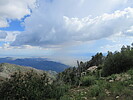 photo thumbnail #12