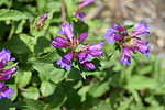 photo thumbnail #8