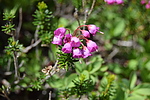 photo thumbnail #15