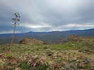 2022-08-07 :2: Picketpost Mountain Summit :: DixieFlyer