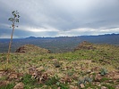 photo thumbnail #9