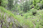 photo thumbnail #13