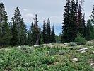 photo thumbnail #8