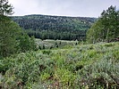 photo thumbnail #15