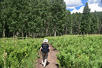 photo thumbnail #4