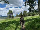 photo thumbnail #6
