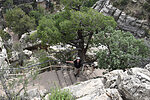 photo thumbnail #12