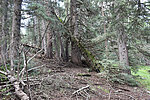 photo thumbnail #5