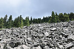 photo thumbnail #12