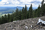 2022-08-02 :3: B24 Crash Site :: markthurman53