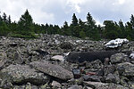 photo thumbnail #15