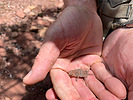 photo thumbnail #6