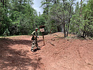 photo thumbnail #7