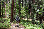 photo thumbnail #10