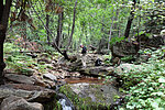 photo thumbnail #13