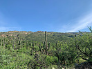 photo thumbnail #9
