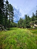 photo thumbnail #13