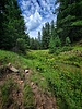 photo thumbnail #11