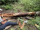photo thumbnail #8