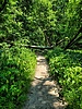 photo thumbnail #7