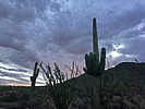 photo thumbnail #3