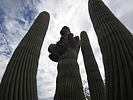 2022-08-14 :: Border Greenlands :: RedRoxx44