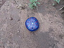 photo thumbnail #6