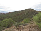 photo thumbnail #12