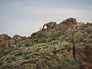 photo thumbnail #15