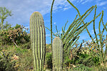 photo thumbnail #4