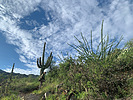 photo thumbnail #5