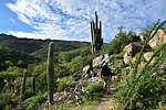 photo thumbnail #6