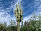 photo thumbnail #8