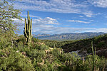 photo thumbnail #7