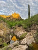 photo thumbnail #5