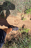 photo thumbnail #14