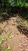 2022-08-16 :1: Reavis Ranch via 109 South :: joebartels