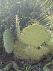 photo thumbnail #8