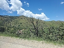 photo thumbnail #4