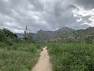photo thumbnail #2