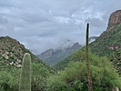 photo thumbnail #5