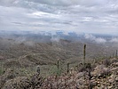 photo thumbnail #2