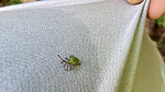 photo thumbnail #15