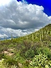 photo thumbnail #10