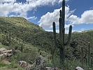 photo thumbnail #1